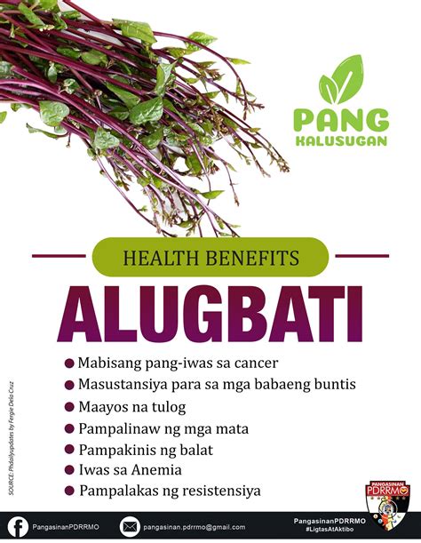 Pinainom Muna ng Bitamina Bago Patulugin .